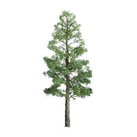94294 Professional Trees | Multi-scale | Pine | 4" PRO | 2 pack