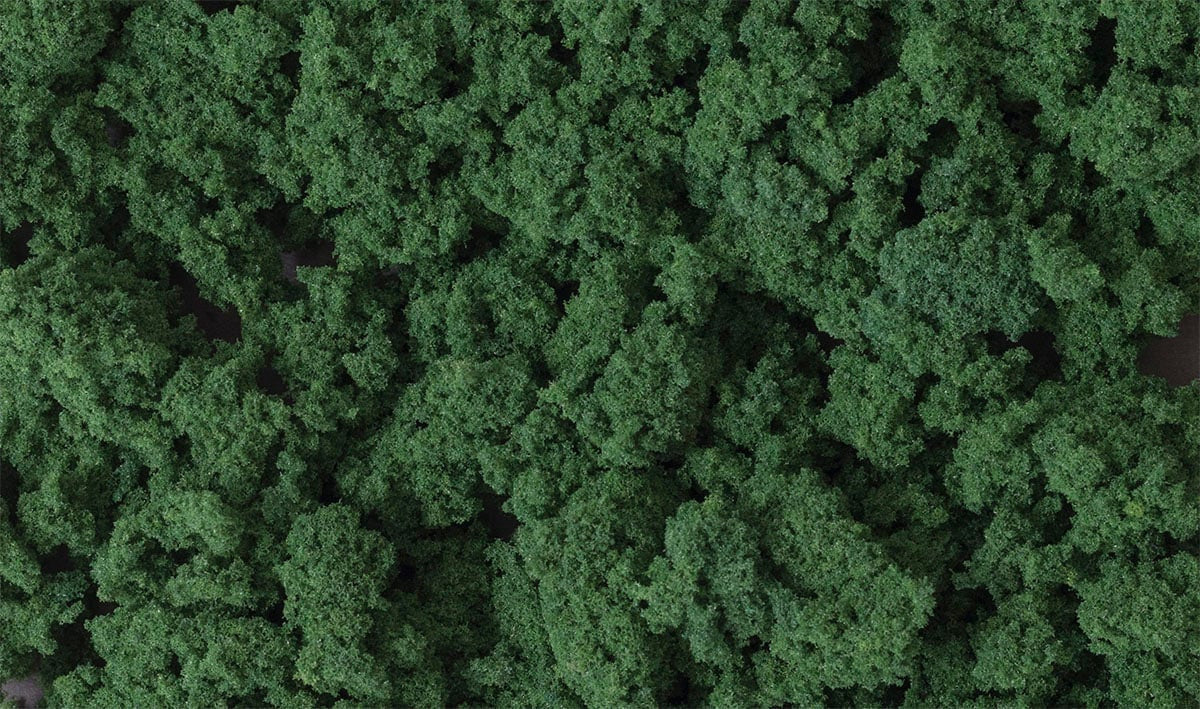 FC684 Clump Foliage | Dark Green | Small Bag