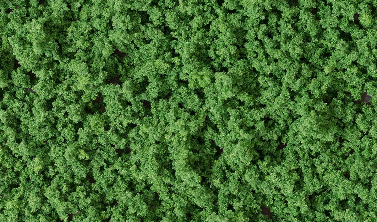 FC136 Underbrush | Medium Green | Bag