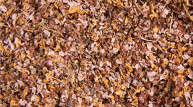 SuperLeaf | Leaf Litter | 16 oz. jar | Scale Leaves