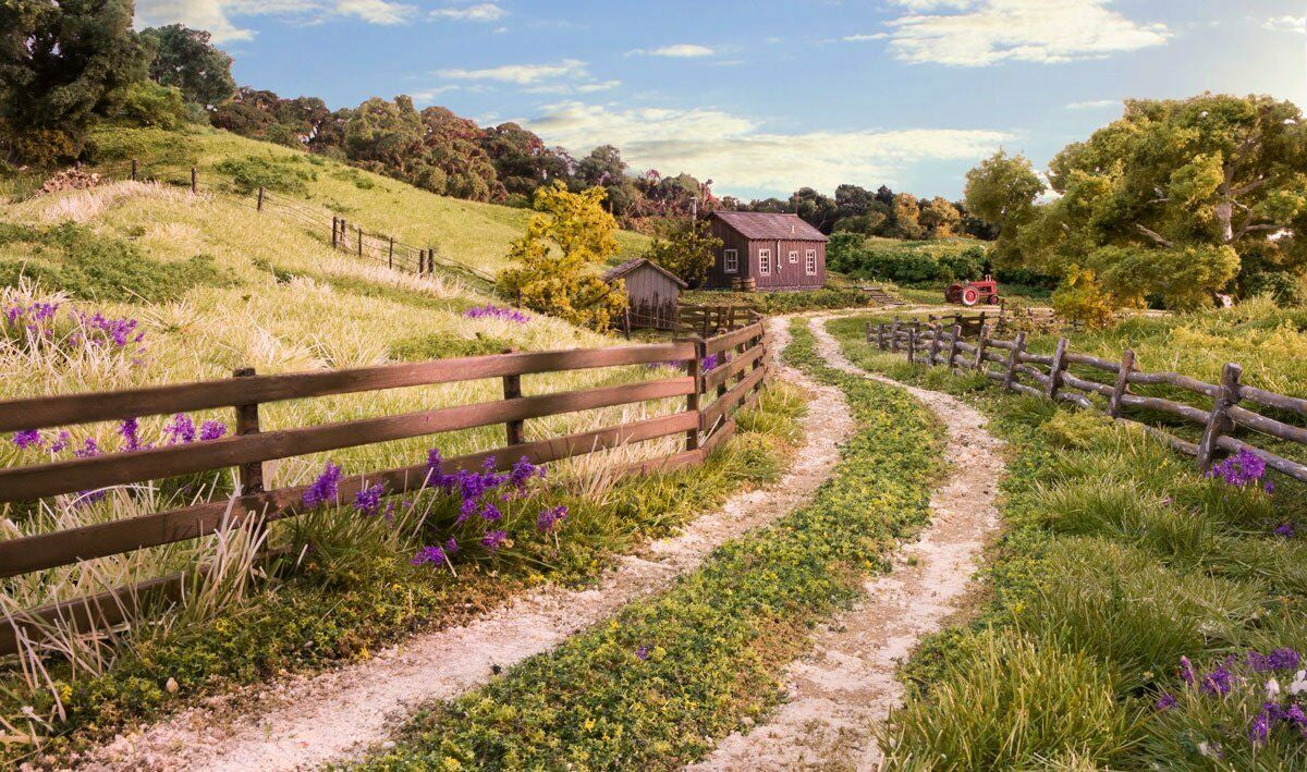 Woodland Scenics A2982 HO Weathered Rail Fence with 2 Gates 26.4"